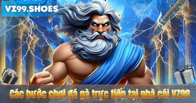 Các bước chơi đá gà trực tiếp tại nhà cái VZ99