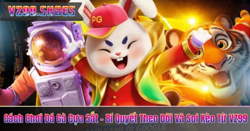 Cách Chơi Đá Gà Cựa Sắt – Bí Quyết Theo Dõi Và Soi Kèo Từ VZ99