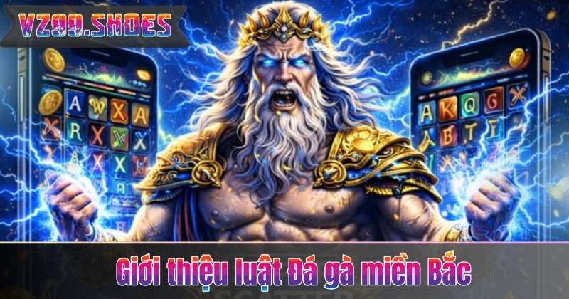 Luật Đá Gà Miền Bắc – Tìm Hiểu Chi Tiết Cùng Chuyên Gia 5 Giới thiệu luật Đá gà miền Bắc