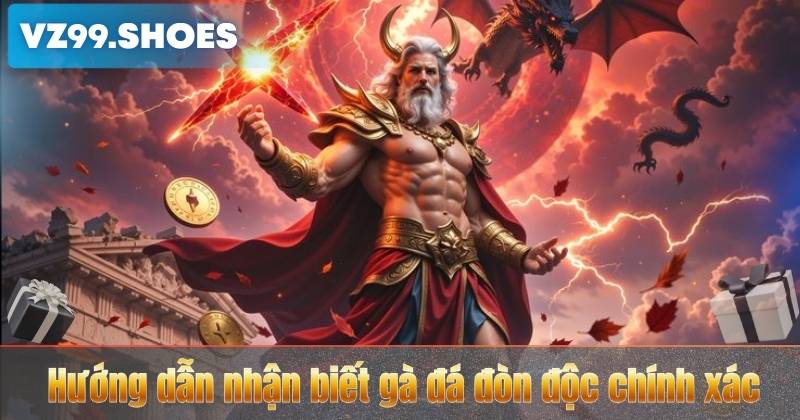 Hướng dẫn nhận biết gà đá đòn độc chính xác