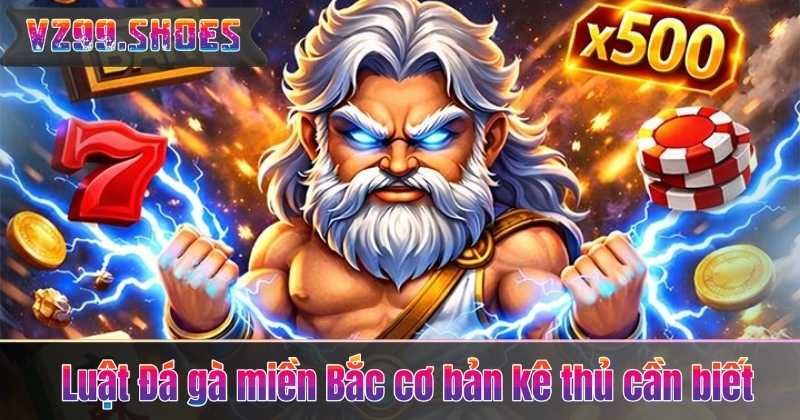 Luật Đá Gà Miền Bắc – Tìm Hiểu Chi Tiết Cùng Chuyên Gia 6 Luật Đá gà miền Bắc cơ bản kê thủ cần biết