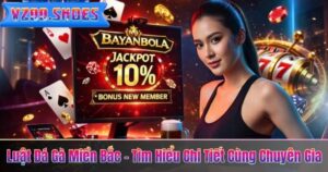 Luật Đá Gà Miền Bắc – Tìm Hiểu Chi Tiết Cùng Chuyên Gia