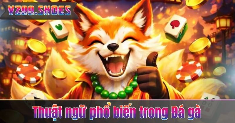 Luật Đá Gà Miền Bắc – Tìm Hiểu Chi Tiết Cùng Chuyên Gia 7 Thuật ngữ phổ biến trong Đá gà