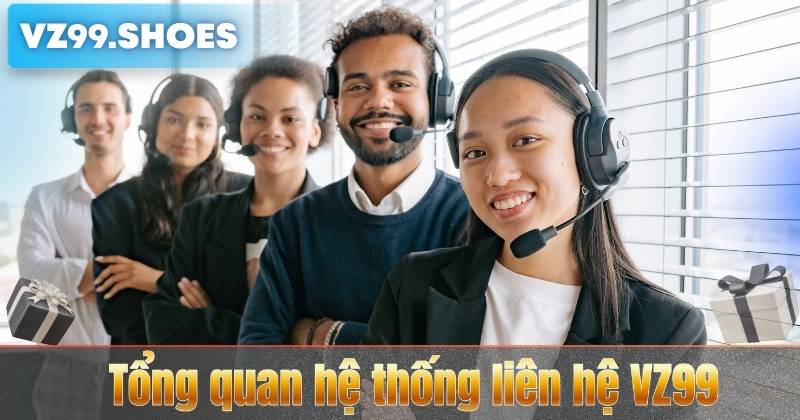 Tổng quan hệ thống liên hệ VZ99